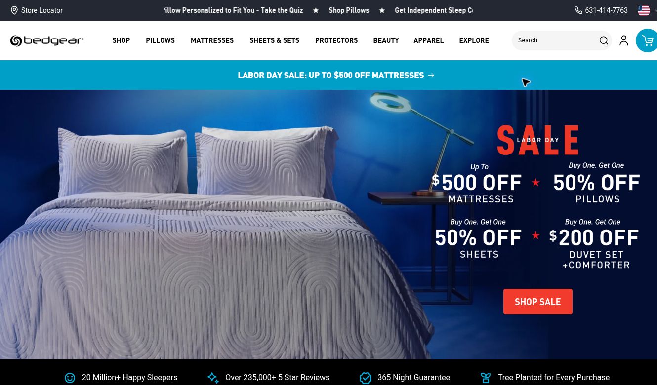 Current homepage of BEDGEAR